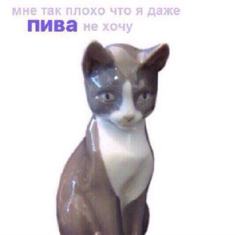 пива