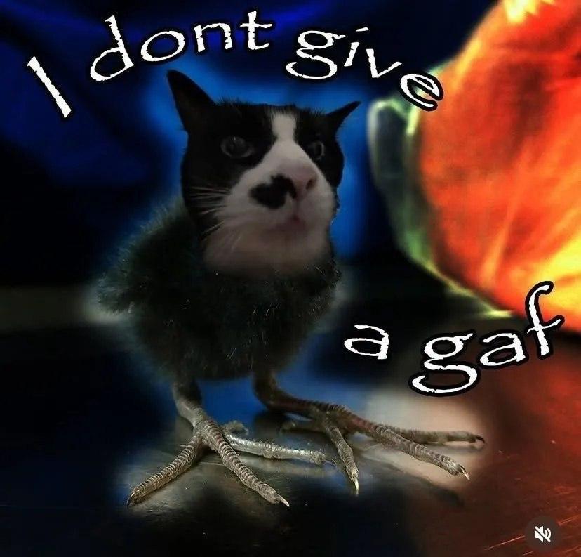 eat