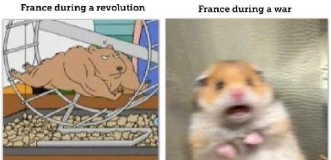 France during а revolution France during a war я