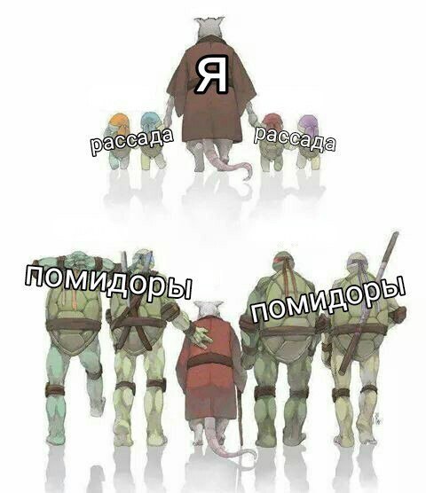 paces да [5