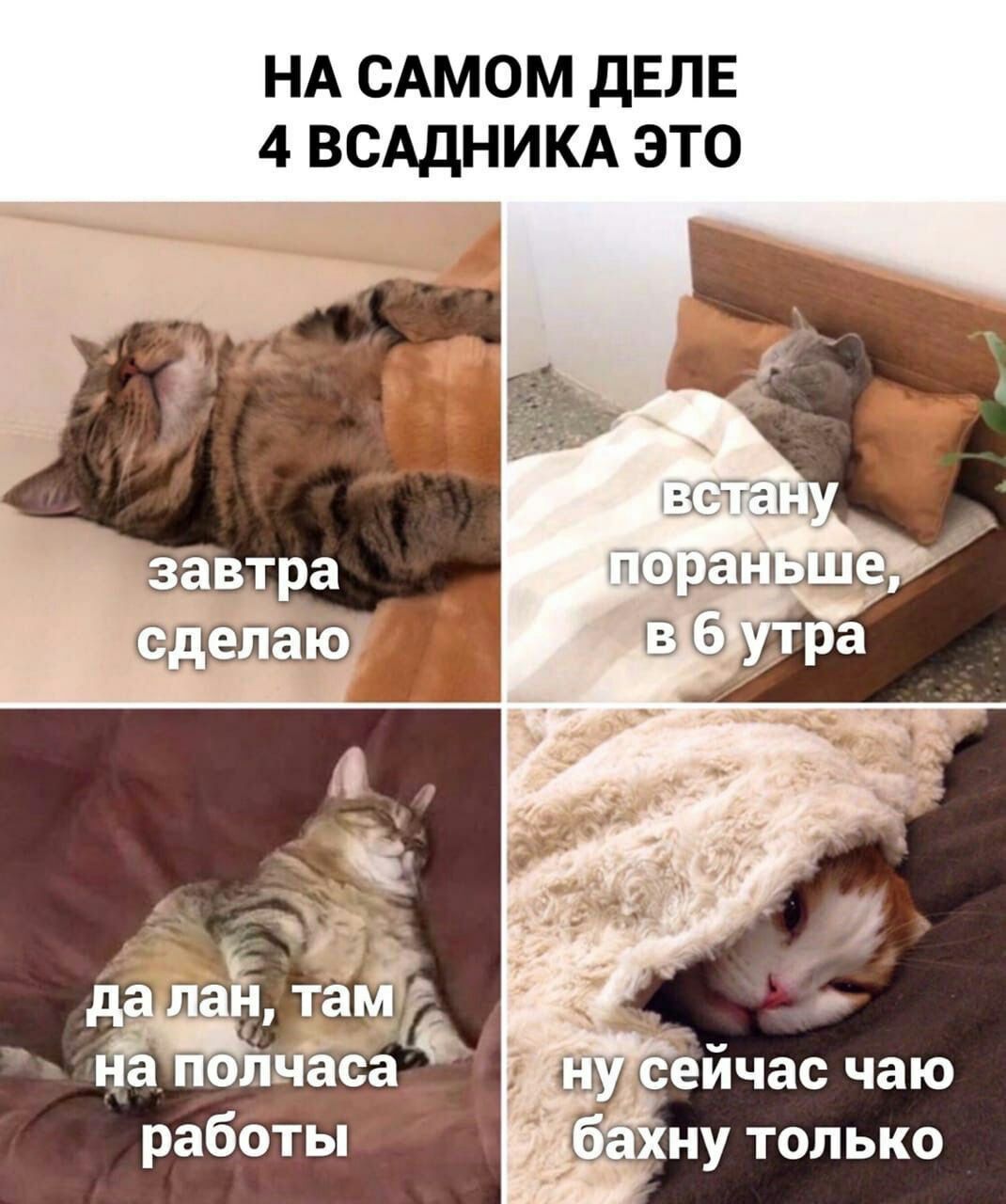 НА САМОМ ДЕЛЕ 4 ВСАДНИКА ЭТО завтра сделаю a: Часа еичас чаю бахну только