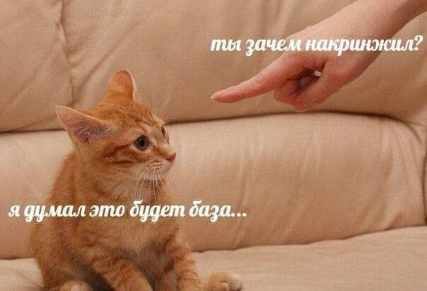 ты зачем накринжил? я думал это будет даза...