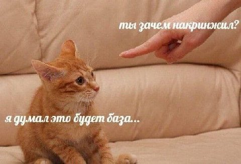 ты зачем накринжил? я думал это будет даза...