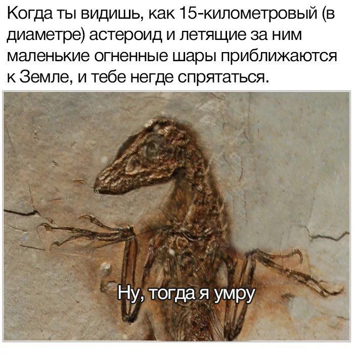 Когда ты видишь, как 15-километровый (в диаметре) астероид и летящие за ним маленькие огненные шары приближаются к Земле, и тебе негде спрятаться. умру