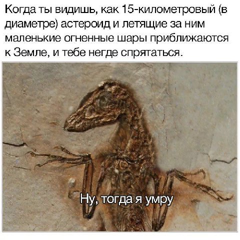 Когда ты видишь, как 15-километровый (в диаметре) астероид и летящие за ним маленькие огненные шары приближаются к Земле, и тебе негде спрятаться. умру
