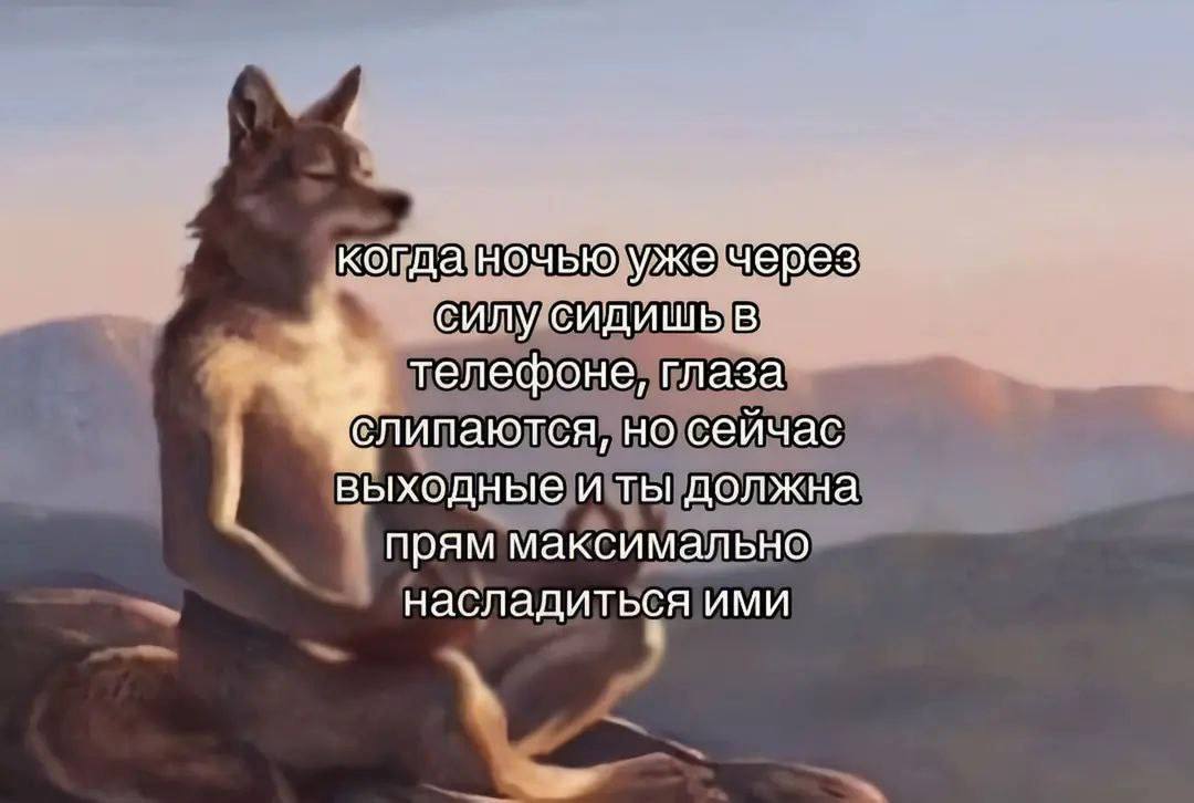 когда ночью ужечерез: силу сидишь в телефоне, глаза но сейчас выходные и ты должна прям максимально насладиться ими