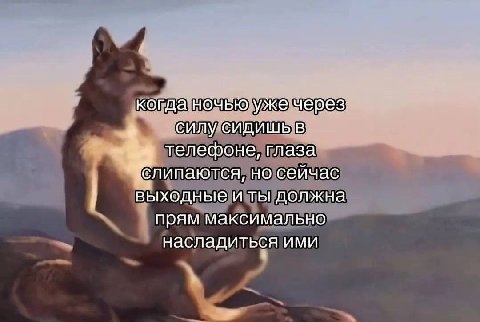 когда ночью ужечерез: силу сидишь в телефоне, глаза но сейчас выходные и ты должна прям максимально насладиться ими