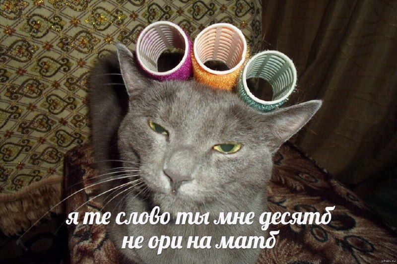 яте слово ты мне фесятб не ори на матд