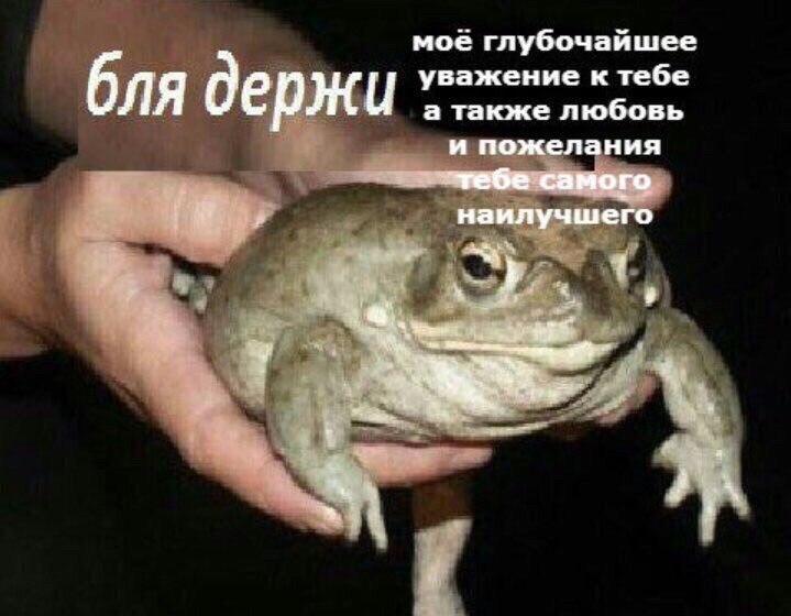 мое глубочайшее уважение к тебе а также любовь бля держи и пожелания самого наилучшего 8