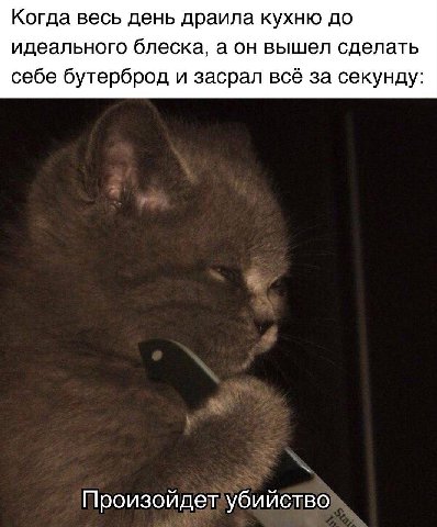 Когда весь день драила кухню до идеального блеска, а он вышел сделать себе бутерброд и засрал всё за секунду: Произойдет убийство