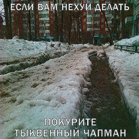 ЕСЛИ BAM НЕХУЙ ДЕЛАТЬ ПОКУРИТЕ ТЫКВЕННЫЙ ЧАПМАН