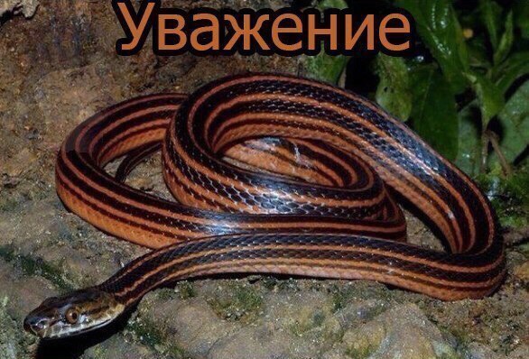 A А 7 у 4 at 4 As 7 4 5 к a 2 see las ath 2. 555 3 ‘3 у 1 a