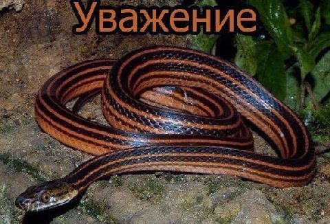 A А 7 у 4 at 4 As 7 4 5 к a 2 see las ath 2. 555 3 ‘3 у 1 a