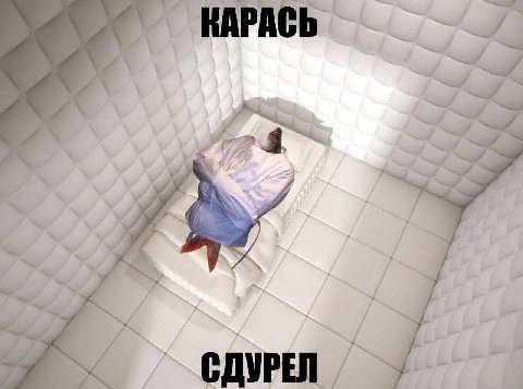 КАРАСЬ A