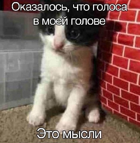 Оказалось, что голоса у В моей голове Это мысли
