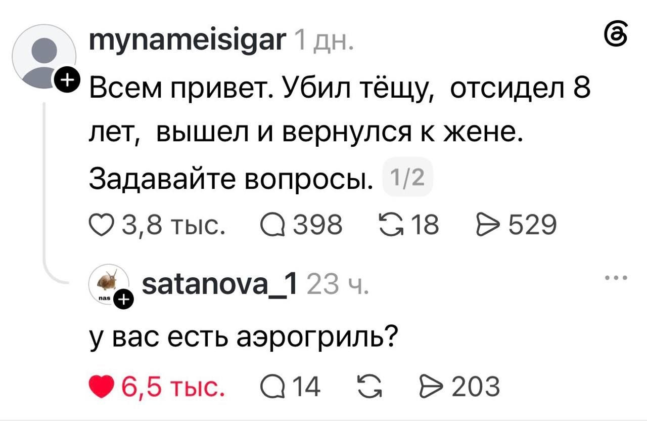 mynameisigar 1 “6 Всем привет. Убил тёщу, отсидел 8 лет, вышел и вернулся к жене. Задавайте вопросы. 1/2 3,8 тыс. 398 18 &529 satanova_1 23 у вас есть аэрогриль? 14 203 6,5 тыс.