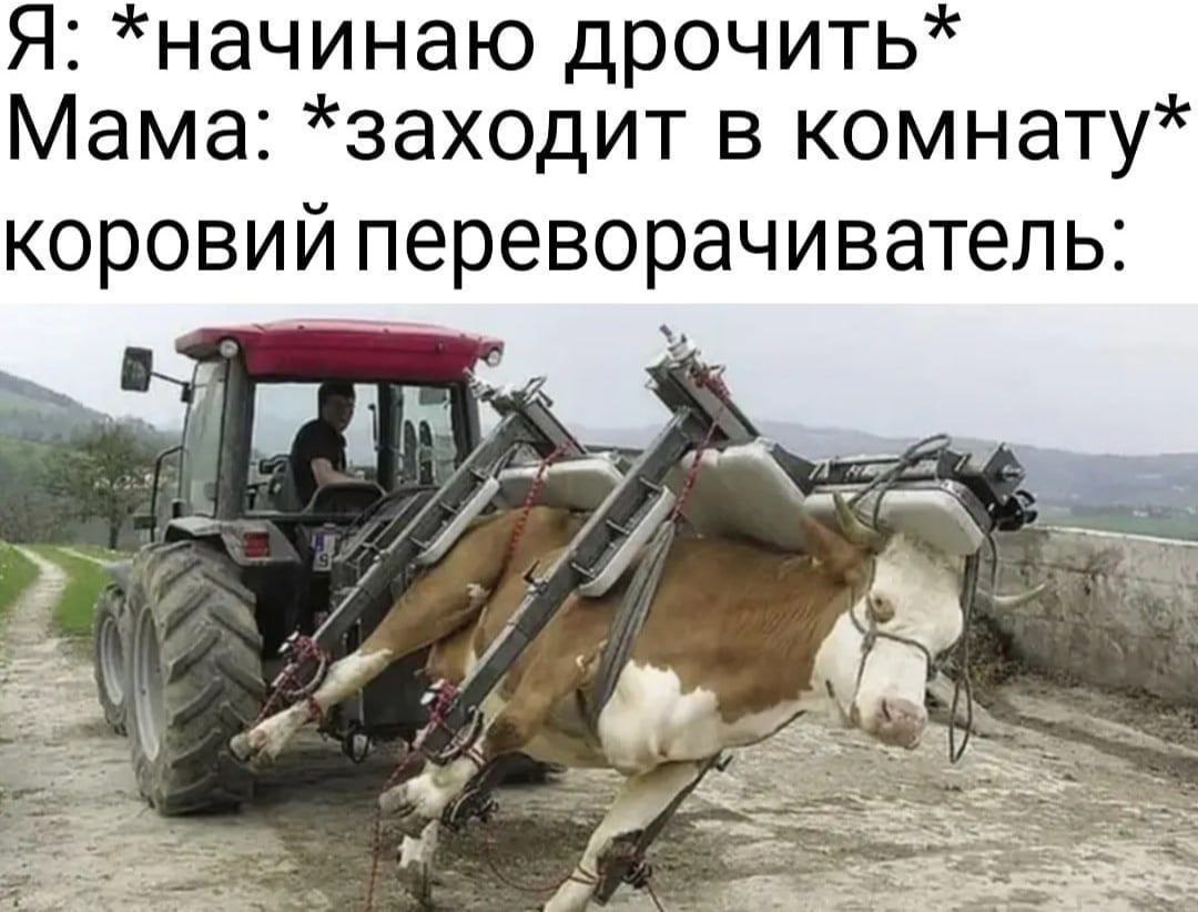 Я: *начинаю дрочить* Мама: *заходит в комнату коровий переворачиватель