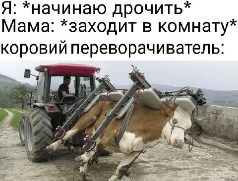 Я: *начинаю дрочить* Мама: *заходит в комнату коровий переворачиватель