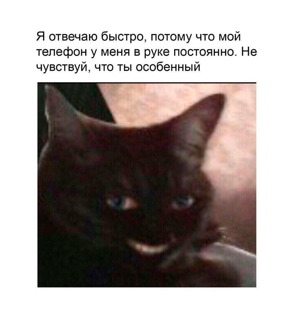 Я отвечаю быстро, потому что мой телефон у меня в руке постоянно. Не чувствуй, что ты особенный