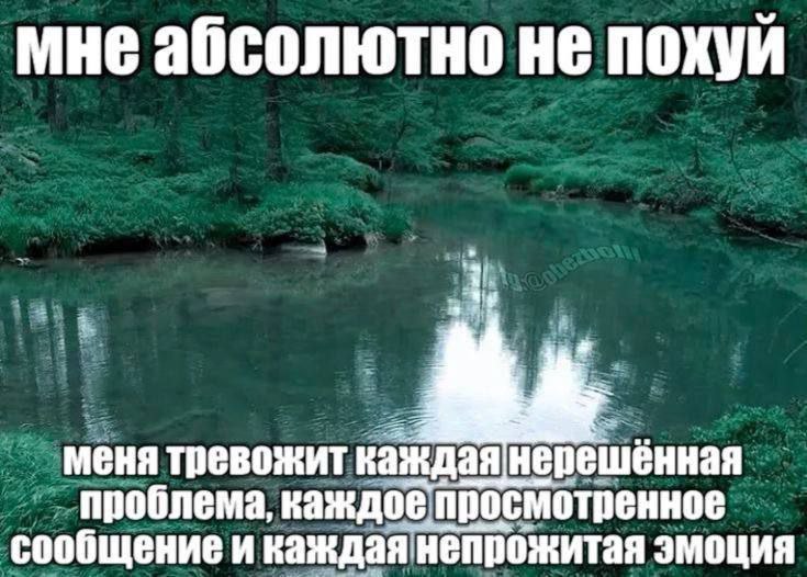 мне абсолютно не похуй меня тревожит каждая не проблема, каждое просмотренное сообщение икаждаянепрожитая эмоция