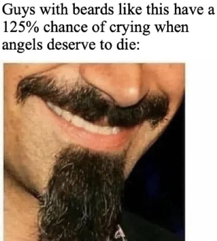 Guys with beards like this have a 125% chance of crying when angels deserve to die:
