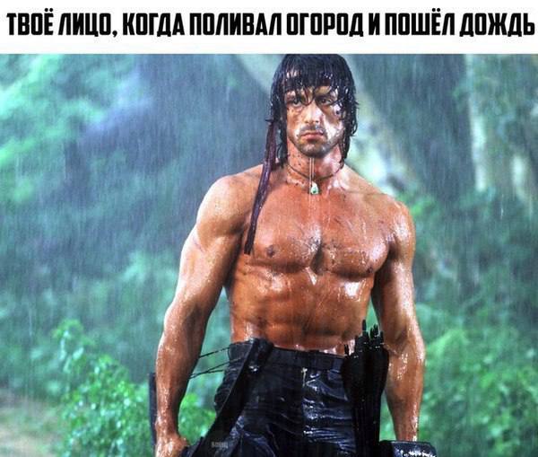ТВОЕ ЛИЦО, КОГДА ПОЛИВАЛ ОГОРОД И ПОШЁЛ ДОЖДЬ А 4 у
