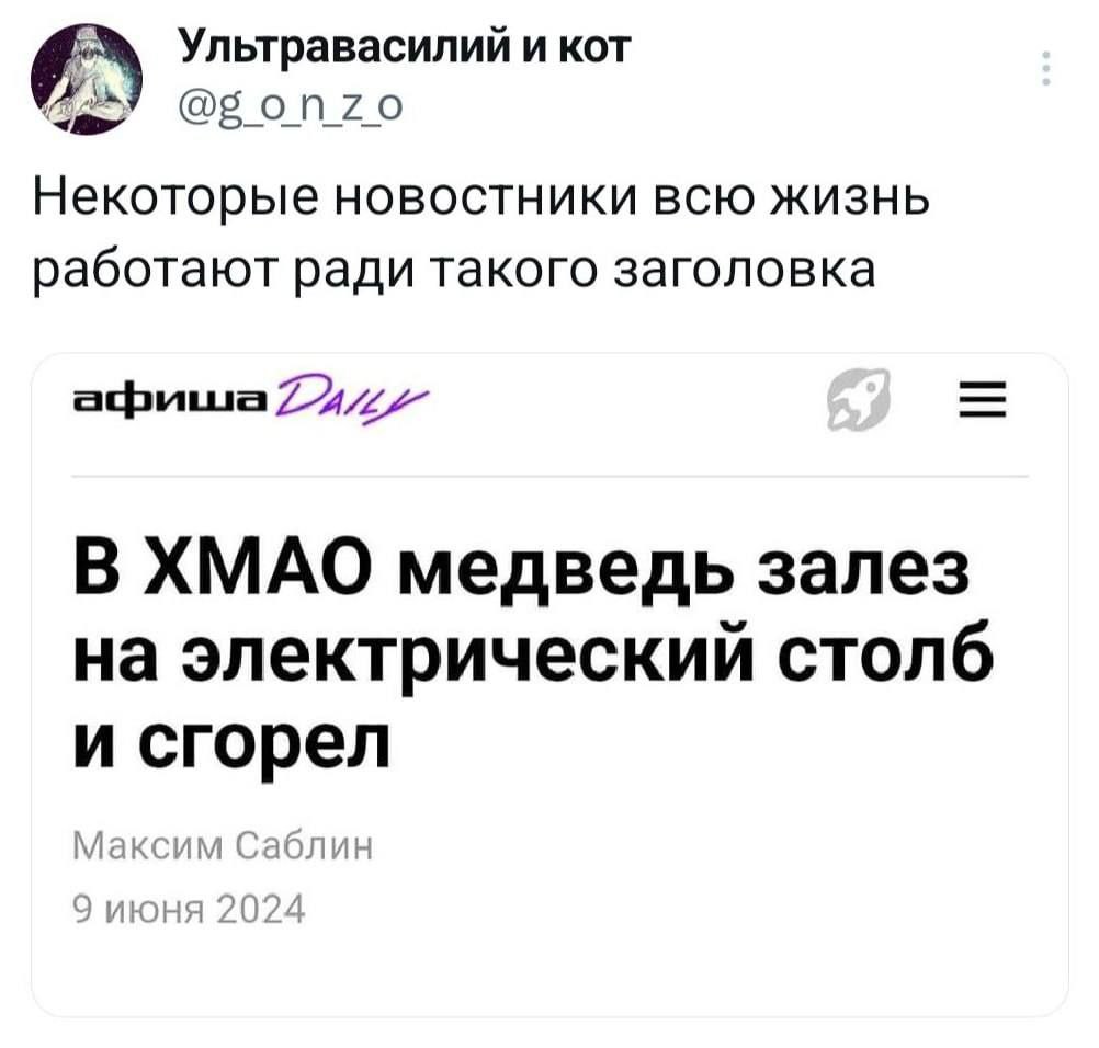 Ультравасилий и кот @gonzo Некоторые НОВОСТНИКИ ВСЮ ЖИЗНЬ работают ради такого заголовка В ХМАО медведь залез на электрический столб и сгорел А Саблин