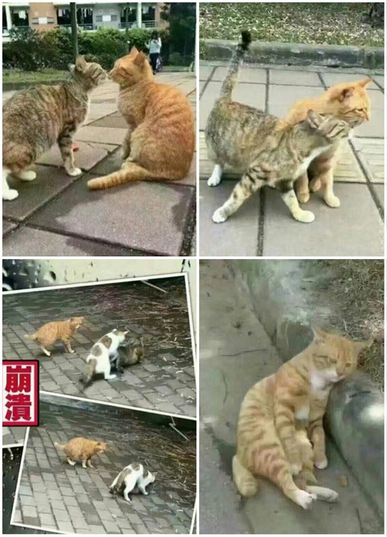 4 у awe 7. 2 4 К 7 me 4 у а. 4 a. 4