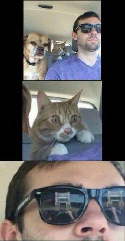 я