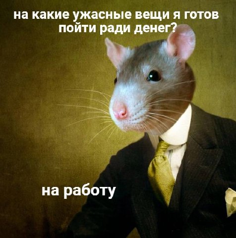 на какие ужасные вещи я готов пойти ради денег? на работу