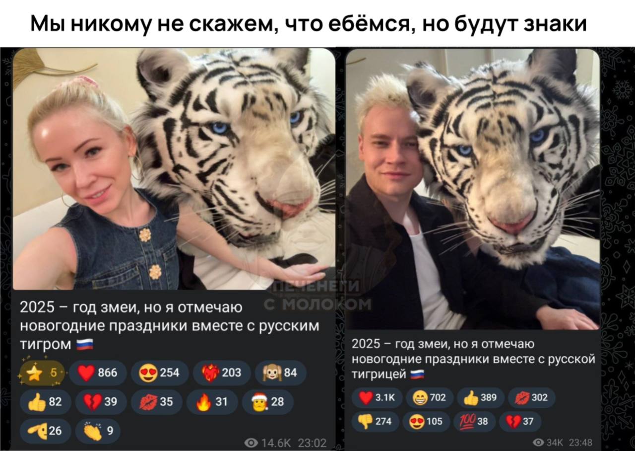 Мы никому не скажем, что ебёмся, но будут знаки 4 wad a 2025 год змеи, A отмечаю новогодние праздники вместе с русским тигром 2025 год змеи, но я отмечаю новогодние праздники вместе с русскои 866 254 