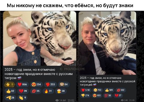 Мы никому не скажем, что ебёмся, но будут знаки 4 wad a 2025 год змеи, A отмечаю новогодние праздники вместе с русским тигром 2025 год змеи, но я отмечаю новогодние праздники вместе с русскои 866 254 
