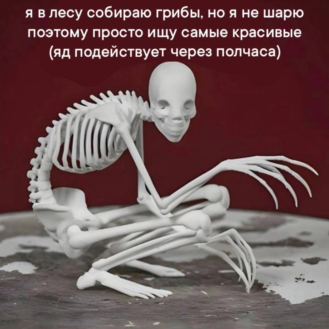 я влесу собираю грибы, но я не шарю поэтому просто ищу самые красивые подействует через полчаса)