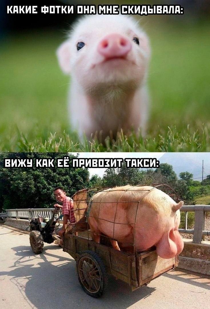 КАКИЕ ФОТКИ ОНА МНЕ СКИДЫВАЛА: ВИЖЧ КАК ТАКСИ: 1: Be. 57