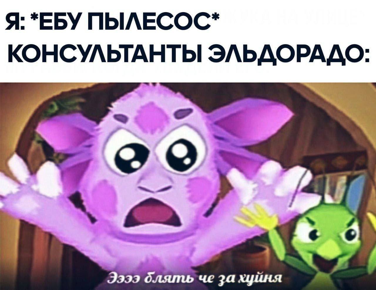 Я: *ЕБУ ПЫЛЕСОС* КОНСУЛЬТАНТЫ ЭЛЬДОРАДО: Ээээ за хуйня