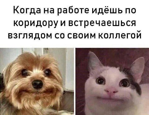 Когда на работе идёшь по коридоруи встречаешься ВЗГЛЯДОМ СВОИМ коллегой