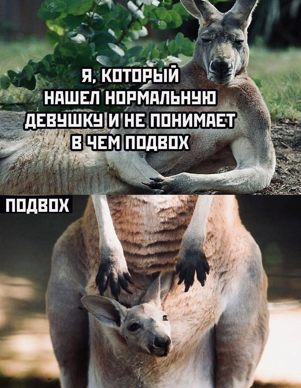 A, КОТОРЫЙ НАШЕЛ НОРМАЛЬНУЮ ДЕВУШКУ И НЕ ПОНИМАЕТ ПОДВОХ ПОДВОХ