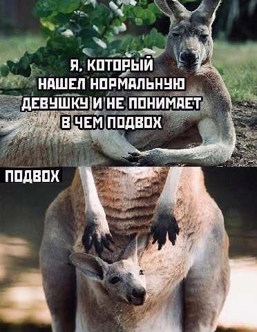 A, КОТОРЫЙ НАШЕЛ НОРМАЛЬНУЮ ДЕВУШКУ И НЕ ПОНИМАЕТ ПОДВОХ ПОДВОХ