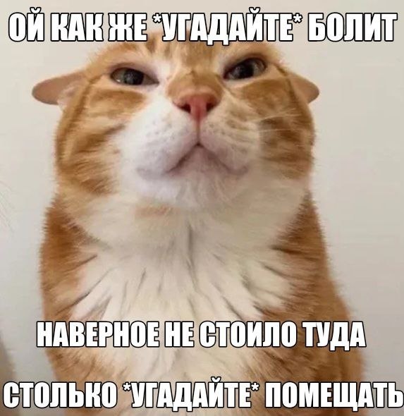ГАДАИТЕ БОЛИТ СТОИЛО ТУДА СТОЛЬКО ПОМЕЩАТЬ