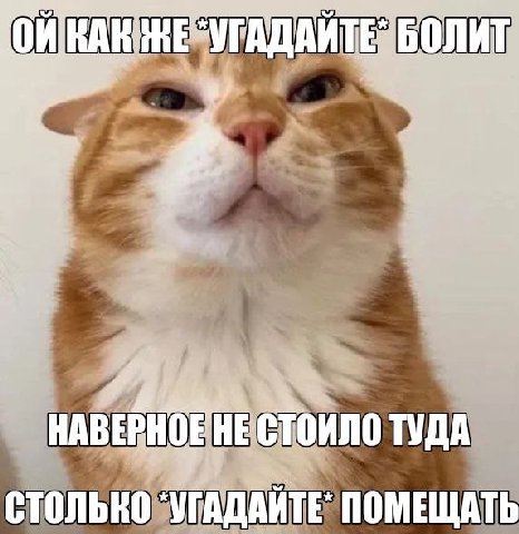 ГАДАИТЕ БОЛИТ СТОИЛО ТУДА СТОЛЬКО ПОМЕЩАТЬ