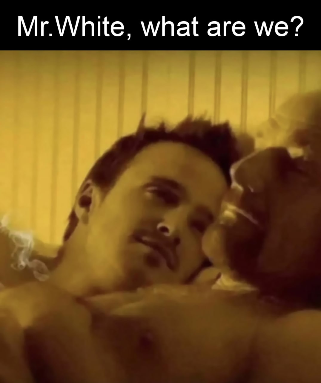 Mr.White, what are we?