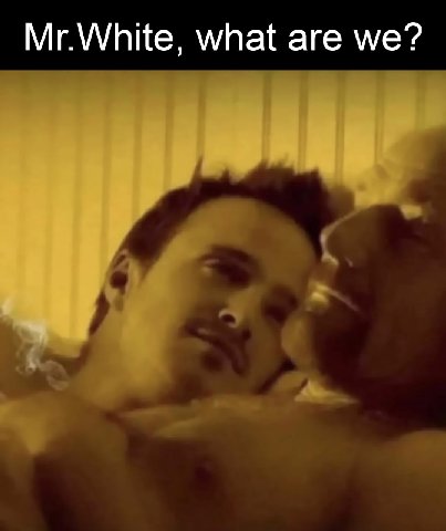 Mr.White, what are we?