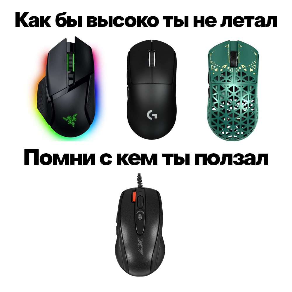 Как бы высоко ты не летал С Помни с кем ты ползал