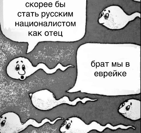 скорее бы стать русским националистом как отец брат мы в еврейке