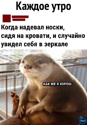Каждое утро Когда надевал носки, сидя на кровати, и случайно увидел себя в зеркале Я ХОРОШ