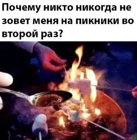 Почему никто никогда не зовет меня на пикники во второй раз: