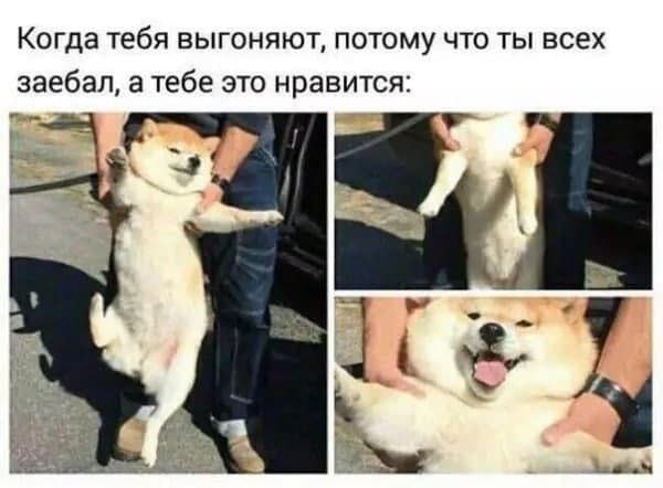 Когда тебя выгоняют, потому что ты всех заебал, а тебе это нравится: