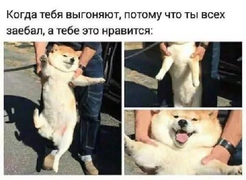 Когда тебя выгоняют, потому что ты всех заебал, а тебе это нравится: