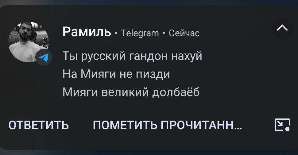 Рамиль. Telegram Сейчас Ты русский гандон нахуй На Мияги не пизди Мияги великий долбаёб ОТВЕТИТЬ ПОМЕТИТЬ ПРОЧИТАНН