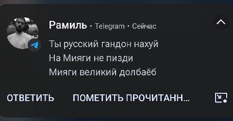Рамиль. Telegram Сейчас Ты русский гандон нахуй На Мияги не пизди Мияги великий долбаёб ОТВЕТИТЬ ПОМЕТИТЬ ПРОЧИТАНН